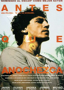 Before Night Falls (DVD)